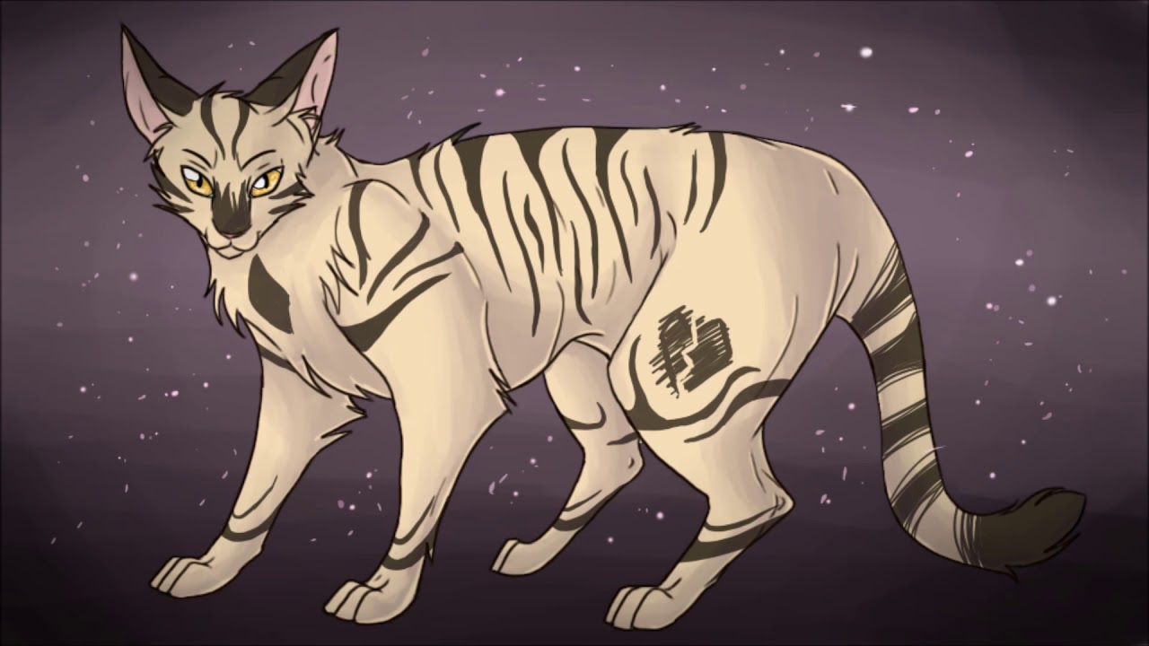 Картинки коты воители долгохвост для срисовки