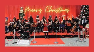 Cork Light Orchestra Elves Wish you a Merry Christmas!