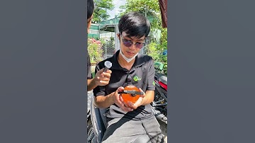 Nếu cây bạn biết nói, thì nó sẽ than phiền điều gì? #CứuCâyTrong30Giây