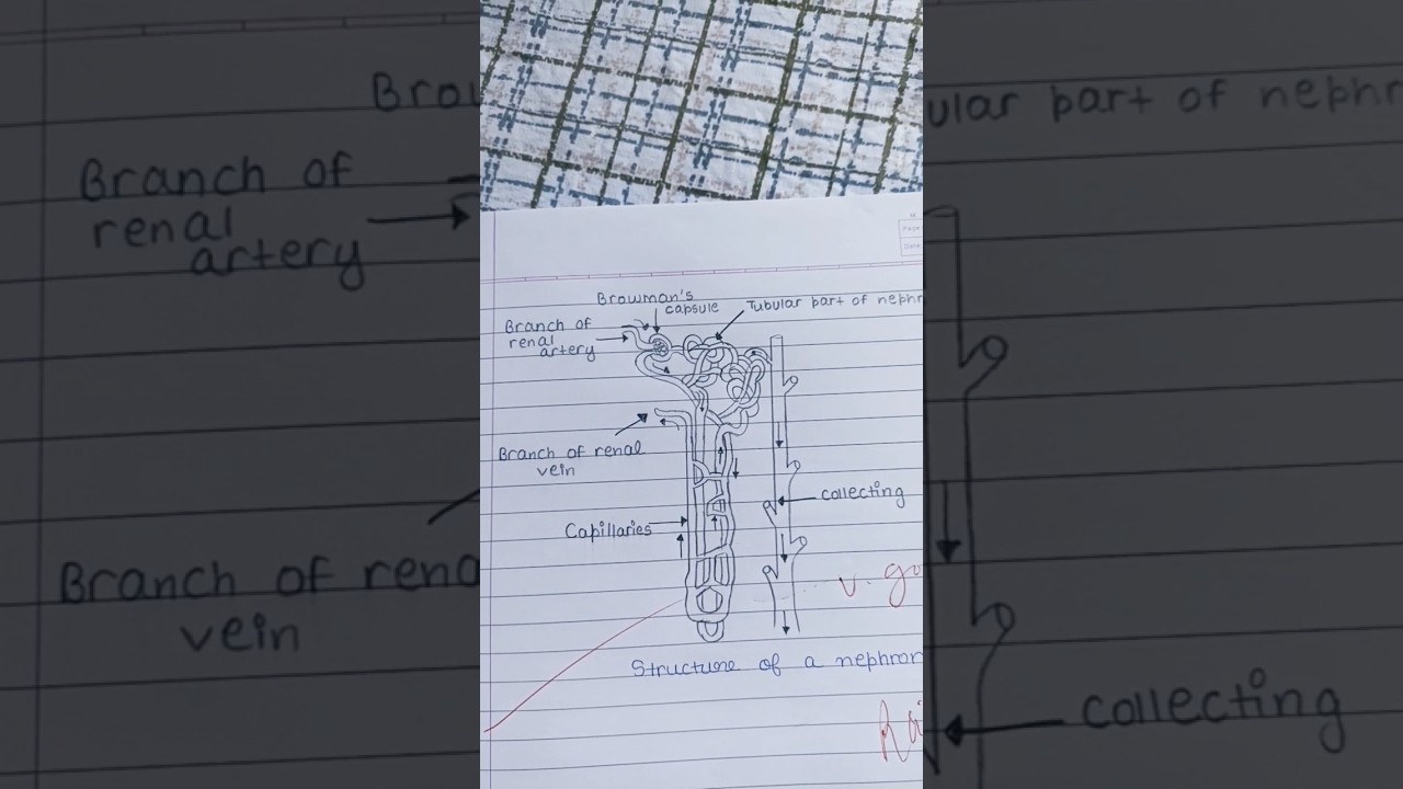 POV: You don't like science but you are an artist 