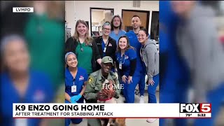 LVMPD K9 going home after downtown barricade stabbing, surgery