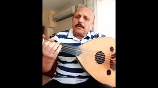 güz gülleri