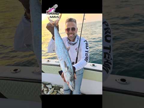 דיג פלמידות עם פנסיל על המקל ז'רז'ור המדיום כבד שלי בזריקה מסירה - דיג באבו דאבי פרק 6