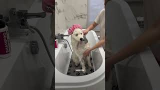ЛУЧШИЙ ЛАЙФХАК WB: 500356639
