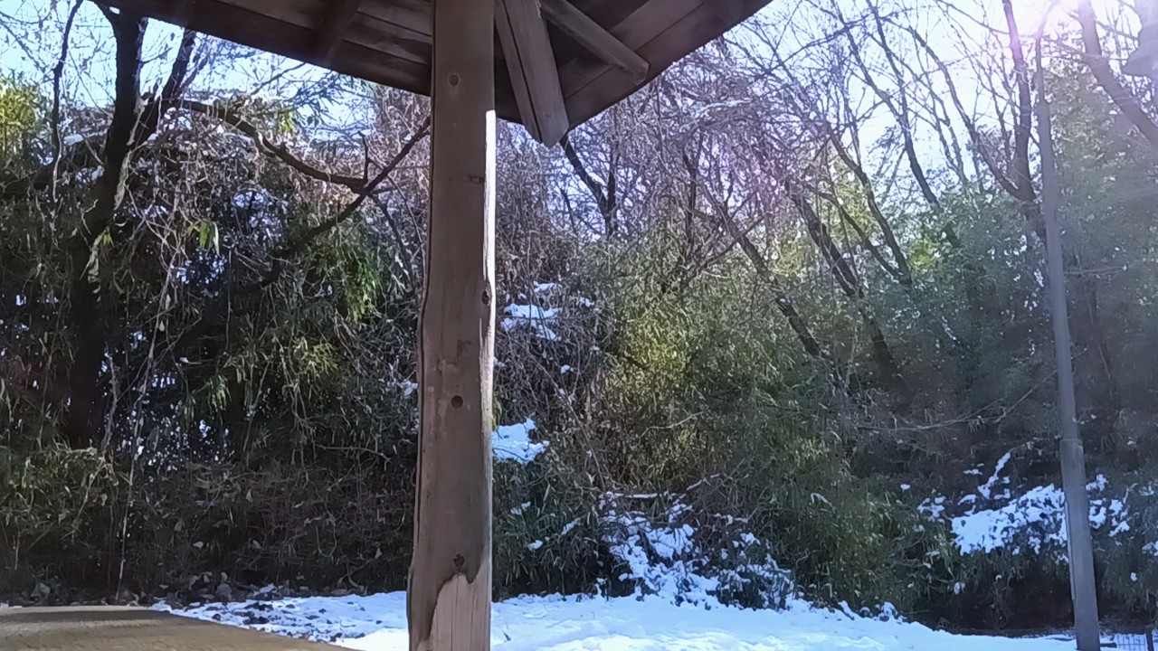 Snowmelt Dripping from a Park Pavilion | Quiet Winter Morning (25 min)