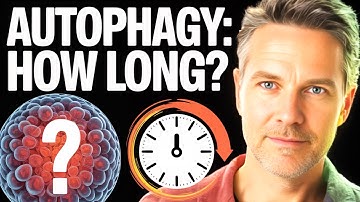 How Long Should You Fast to Trigger Autophagy?