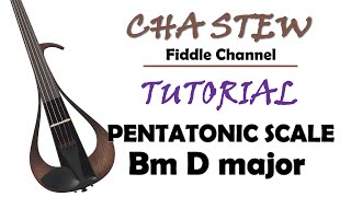 Learn the Pentatonic Scale for Violin :: Tutorial B minor D major pentatonic ::  Gypsy Jazz Fiddle