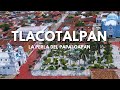 Video de Tlacotalpan