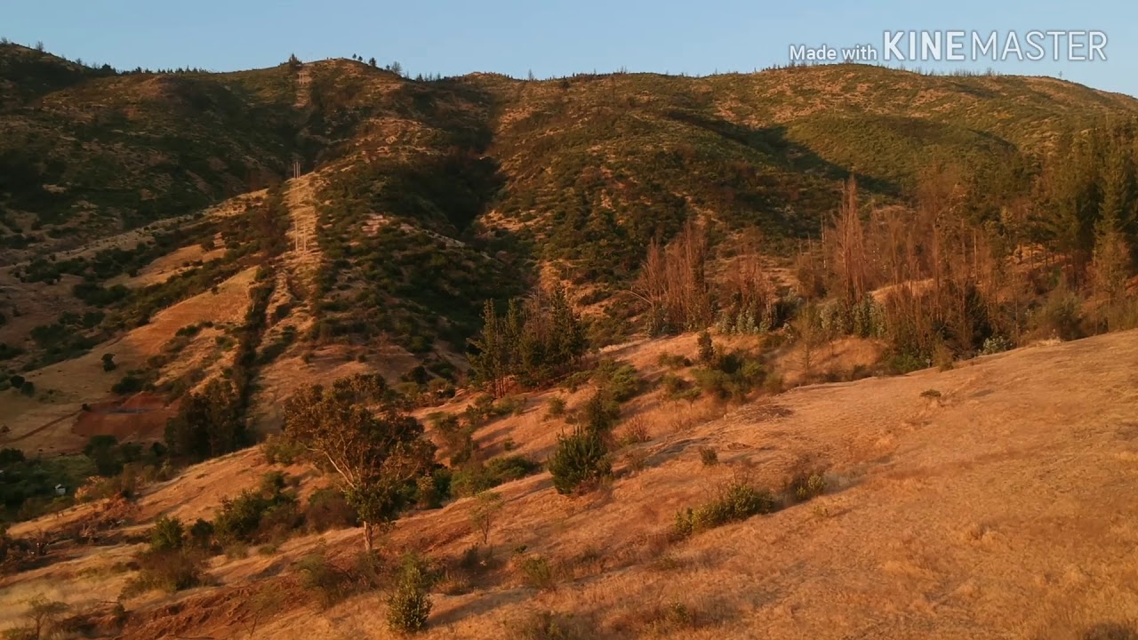 Rinconada De Nuñes, Hualañé - Septima Región de Chile (2019/2020)