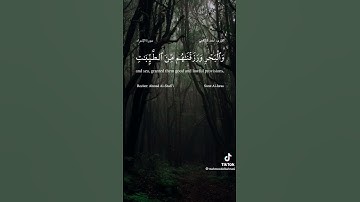 سورة الاسراء اية 70