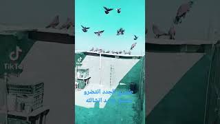 ٢٠ يناير ٢٠٢٢