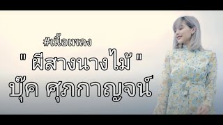 ผีสางนางไม้- บุ๊ค ศุภกาญจน์ #เนื้อเพลง