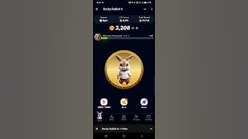 Rocky Rabbit New Mining Telegram Bot 💰 #rockyrabbit || 5769088343 ||
