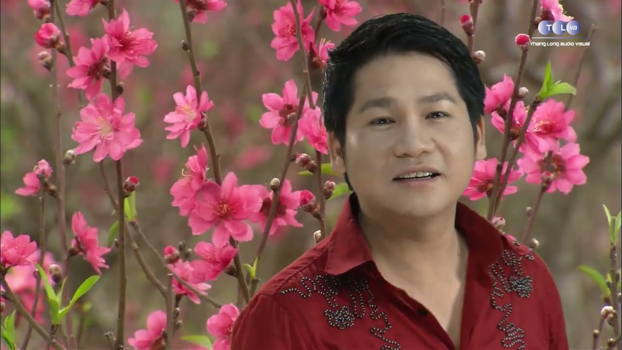 Em ơi mùa xuân đến rồi đó - Ca sĩ Trọng Tấn