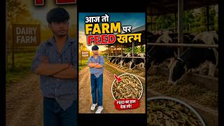 Daily routine farm pe feed khatam #cow #minivlog #dairyfarm #shorts