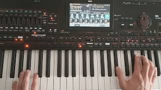 Loverboy - Idealni (Danekoo1 & Instrumental Korg Pa4X)