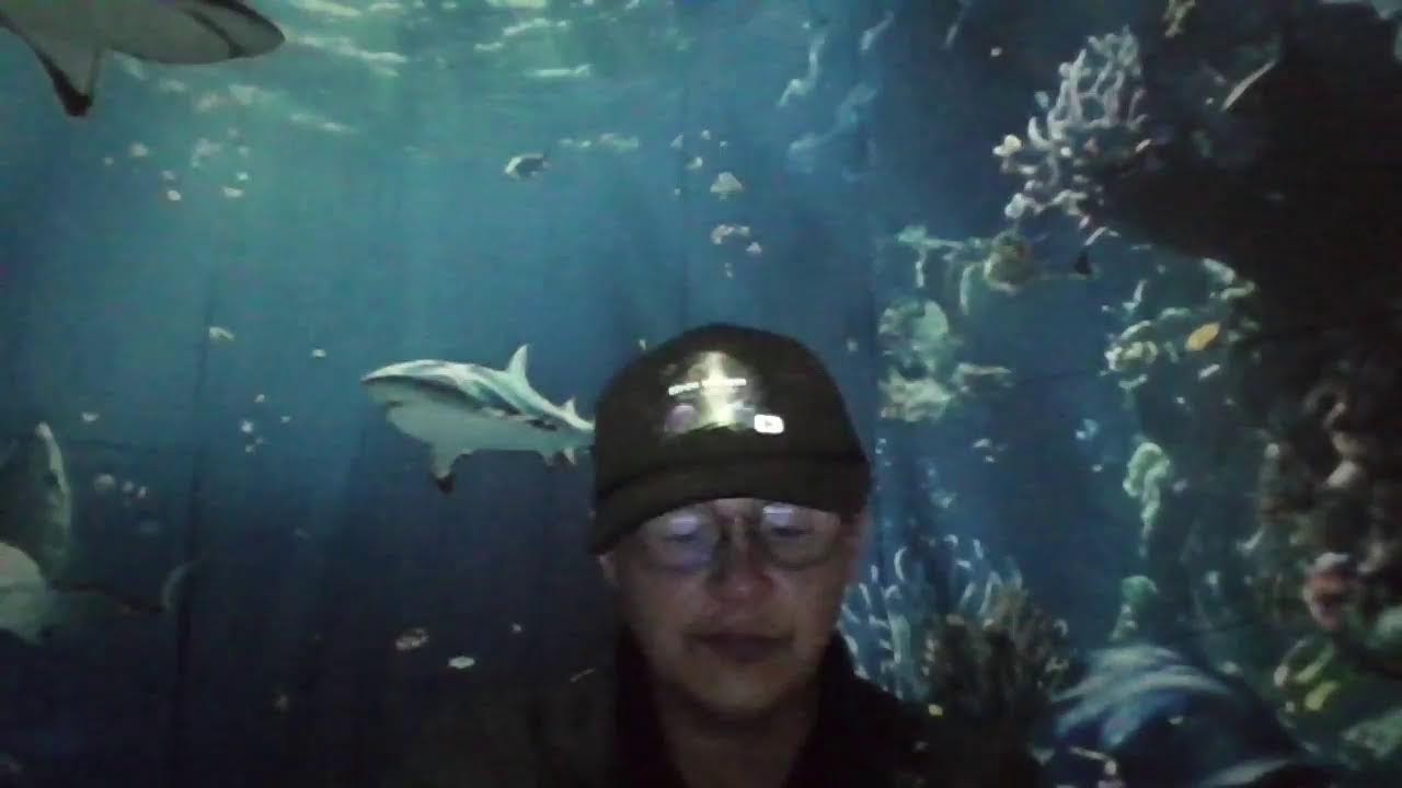 en vivo con efren villegas