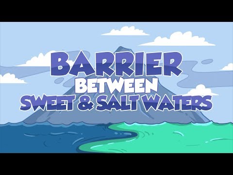 Barrier between Sweet and Salty Waters | Miracles of the Quran