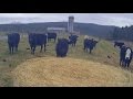 Farming in Appalachia