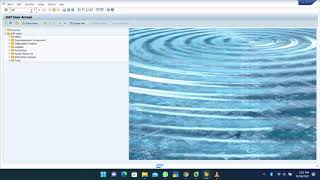 Details 01  SAP  GROUP COMPANY   T CODE   OX15 Guide