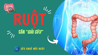 Tại sao RUỘT được gọi là BỘ NÃO THỨ HAI #doisong #suckhoe  #songkhoe #yhoc