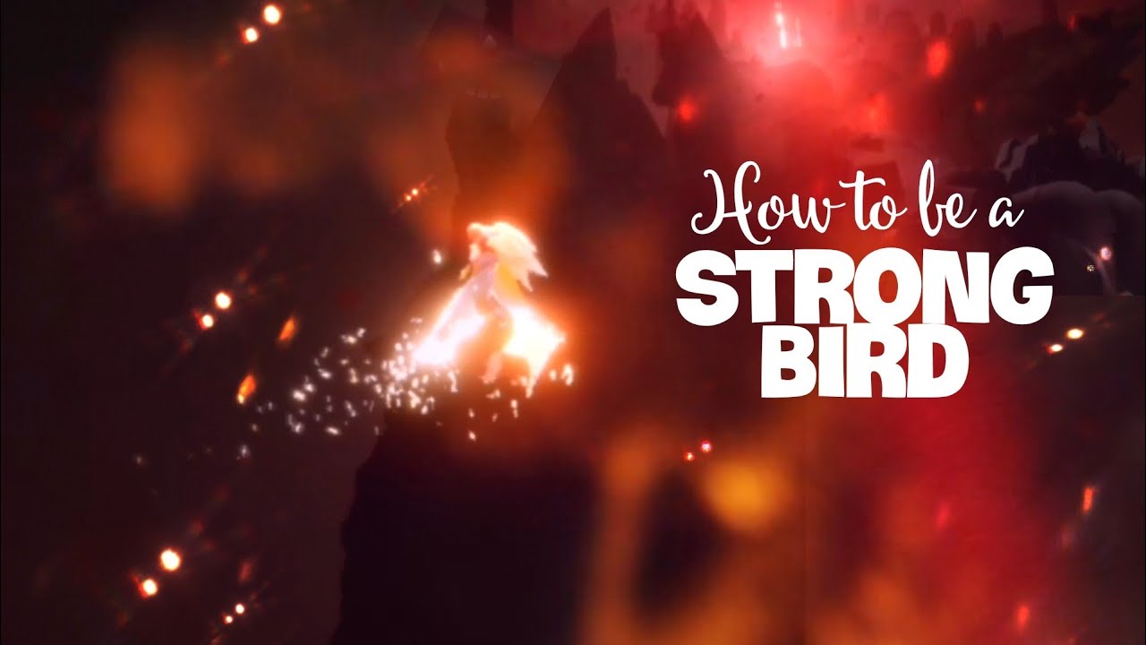 [Sky Cotl] Fly through the entire Eye of Eden! Easiest flying route