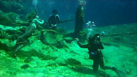 Weeki Wachee Mermaid Crystal V. Photographed by An...