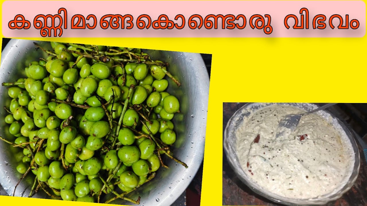 ഒരു വെറൈറ്റി  കണ്ണിമാങ്ങ കിച്ചടി   /Tender mango kichedi