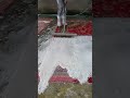 Foam scraping #59#satisfying #asmr #carpetcleaning.