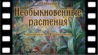 Диафильм 