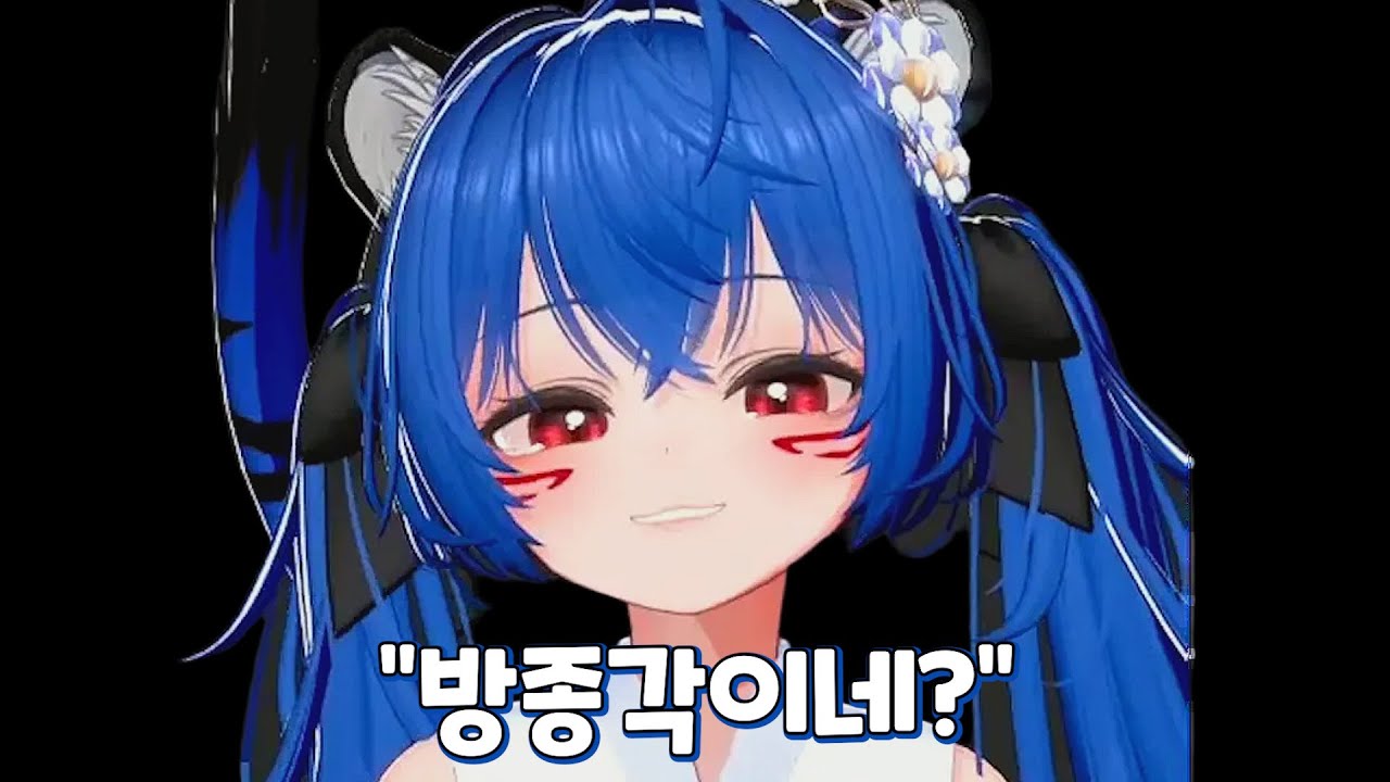 2025년, 당신의 예상을 뛰어넘었던 파란대가리 방종 모음집