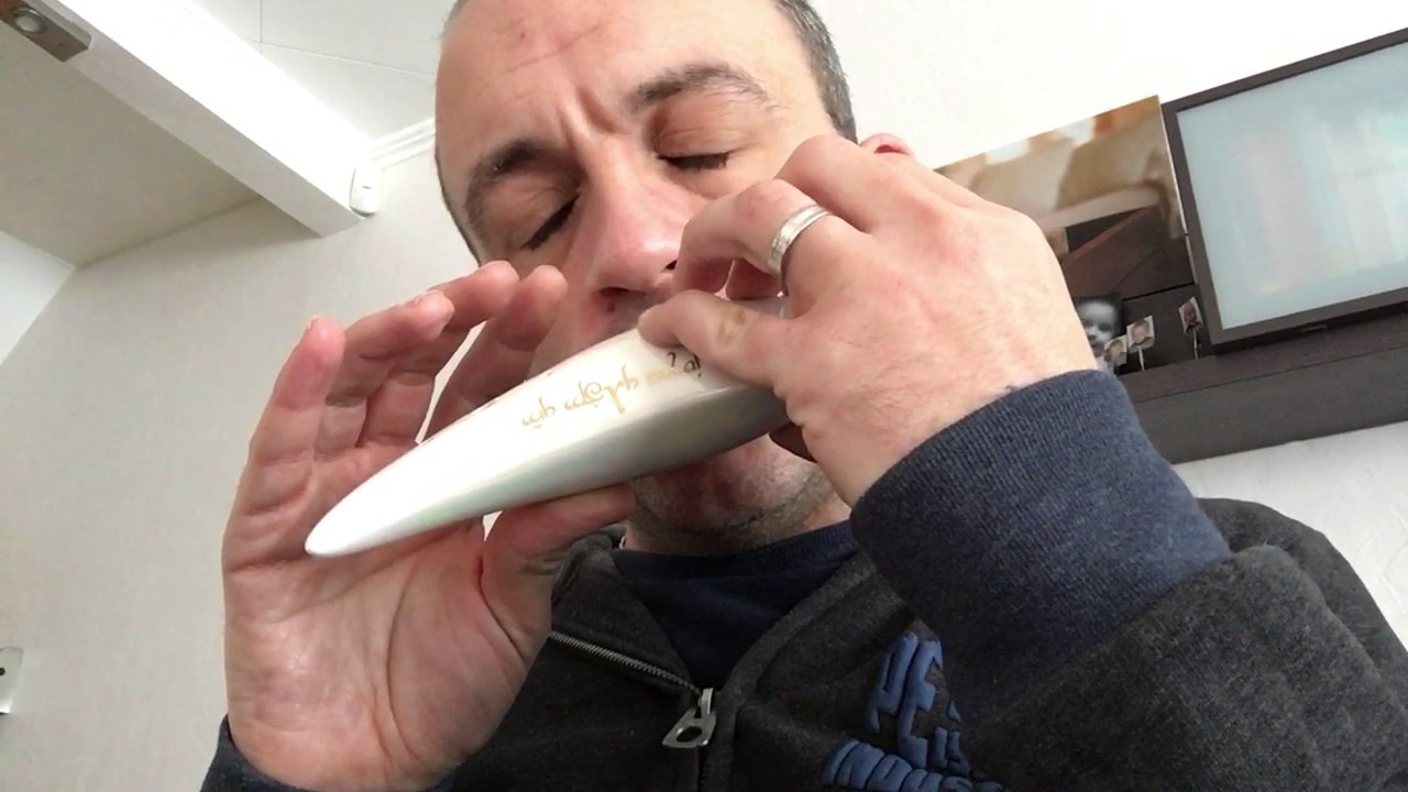 The Wild Rover ( STL Elf ocarina ) YouTube