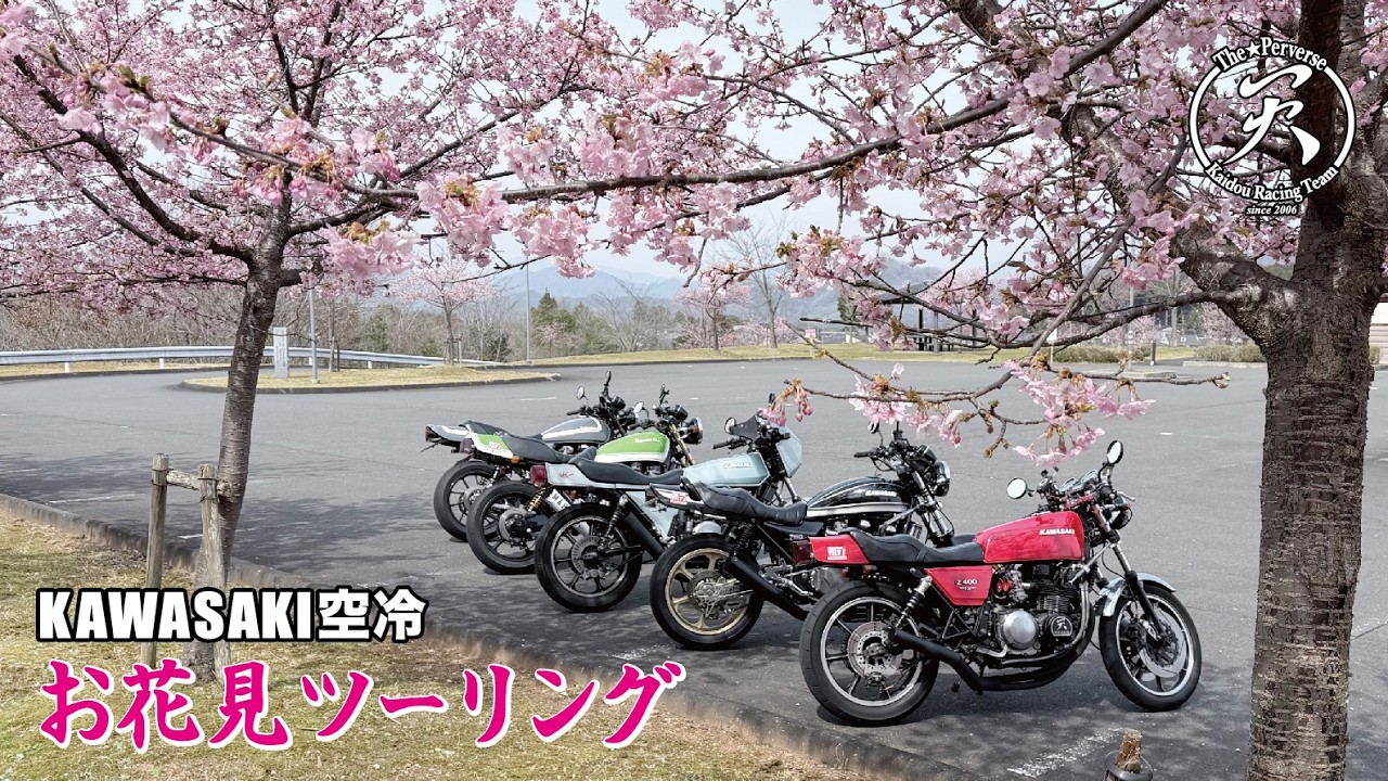 Ron Hermanで限定発売 ネコポス対応/KAWASAKI/カワサキ/桜満開Tシャツ