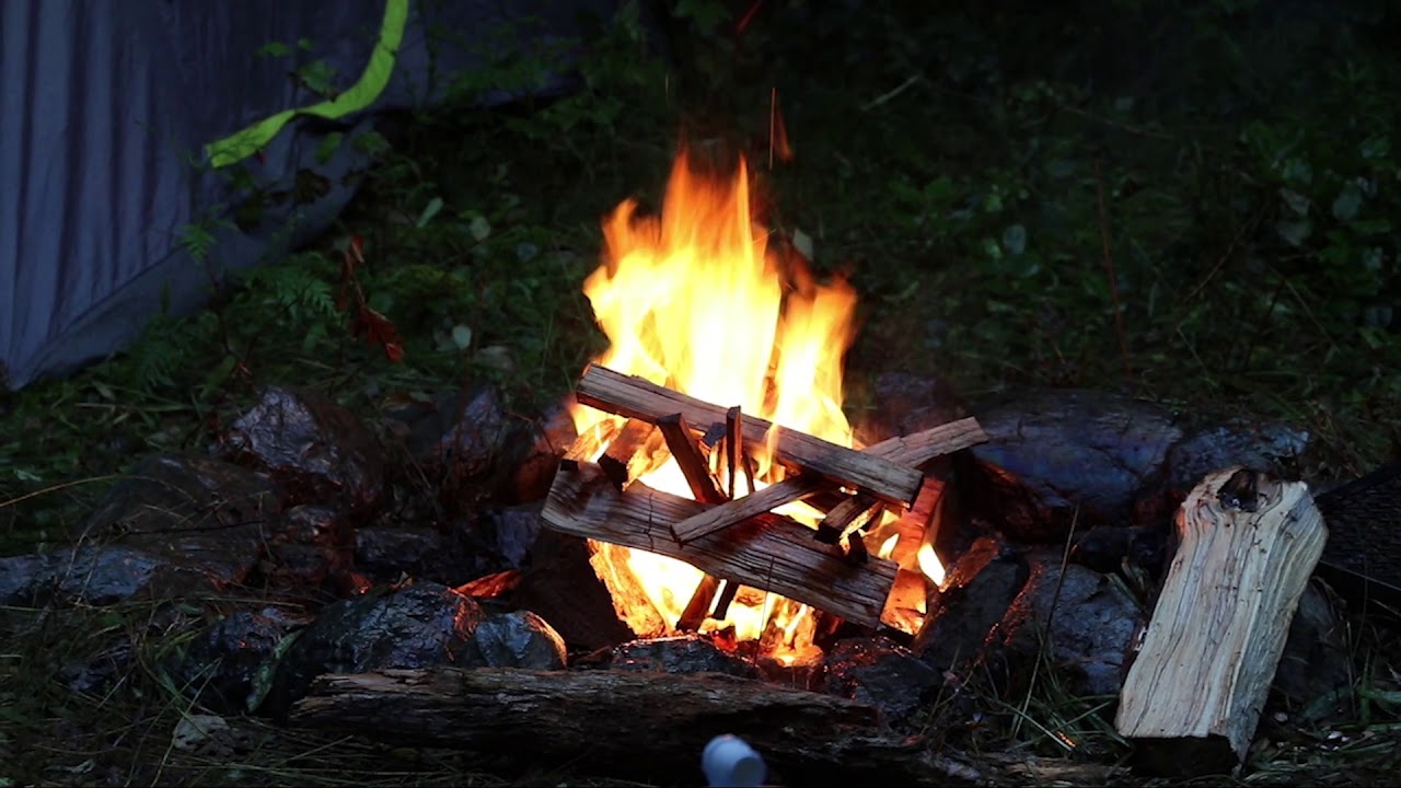 Camping Trip, Nitinat Lake 2019, British Columbia, Canada