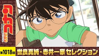 【公式】名探偵コナン「骨董盆は隠せない(前編)」世良真純・赤井一家セレクション