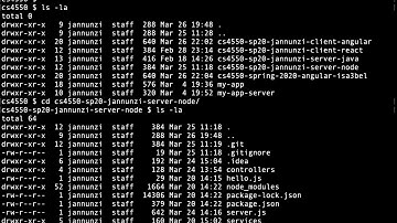 Installing Mongoose for Node JS to integrate with Mongo DB cs4550 sp20 12208