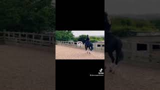 Ad ref 279877   Video 3