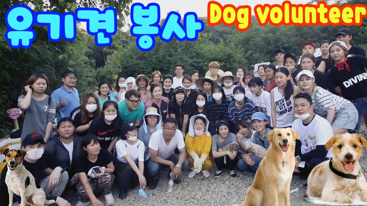 데이브 [아롬이네 유기견 위한 봉사 활동! + 홍수아 서인영 에리나] Abandoned dog volunteering w/ Sooah Hong Seo Inyeong Erina