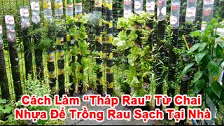 Cách Làm “Tháp Rau” Từ Chai Nhựa Để Trồng Rau Sạch Tại Nhà