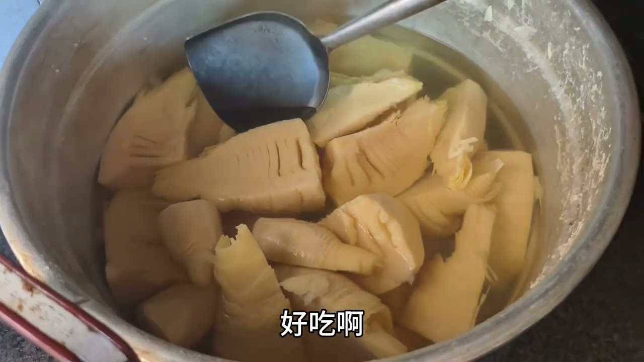 天气好老罗去挖笋来晒笋干，做法简单，20多斤笋看能晒多少干的