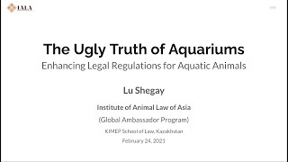 The Ugly Truth of Aquariums