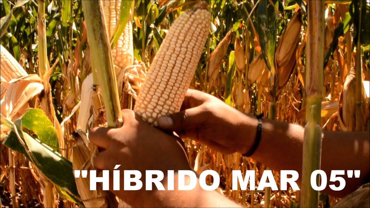 TECNOFERSA YouTube tecnofersa-youtube