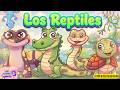 Descubre a los Sorprendentes Reptiles Cocodrilo, Iguana, Tortuga conócelos Uno a Uno