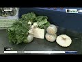 Agri-Tech Expo highlights youth challenges in farming