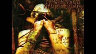 Anaal Nathrakh - When Humanity is cancer