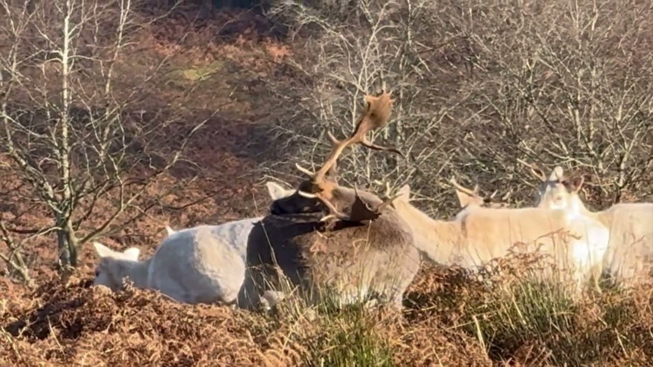 New Years Eve 2025. Discovering Sussex