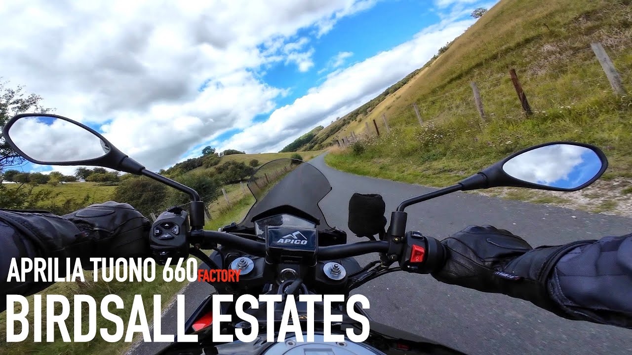 Aprilia Tuono 660 Factory | Birdsall Estates