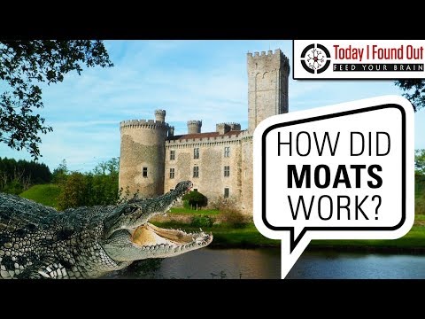 Did People Ever Really Put Crocodiles in Moats? thumbnail