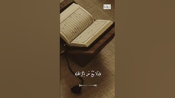 #القارئ #حسام عبدالباقي ماتيسر من سورة النور