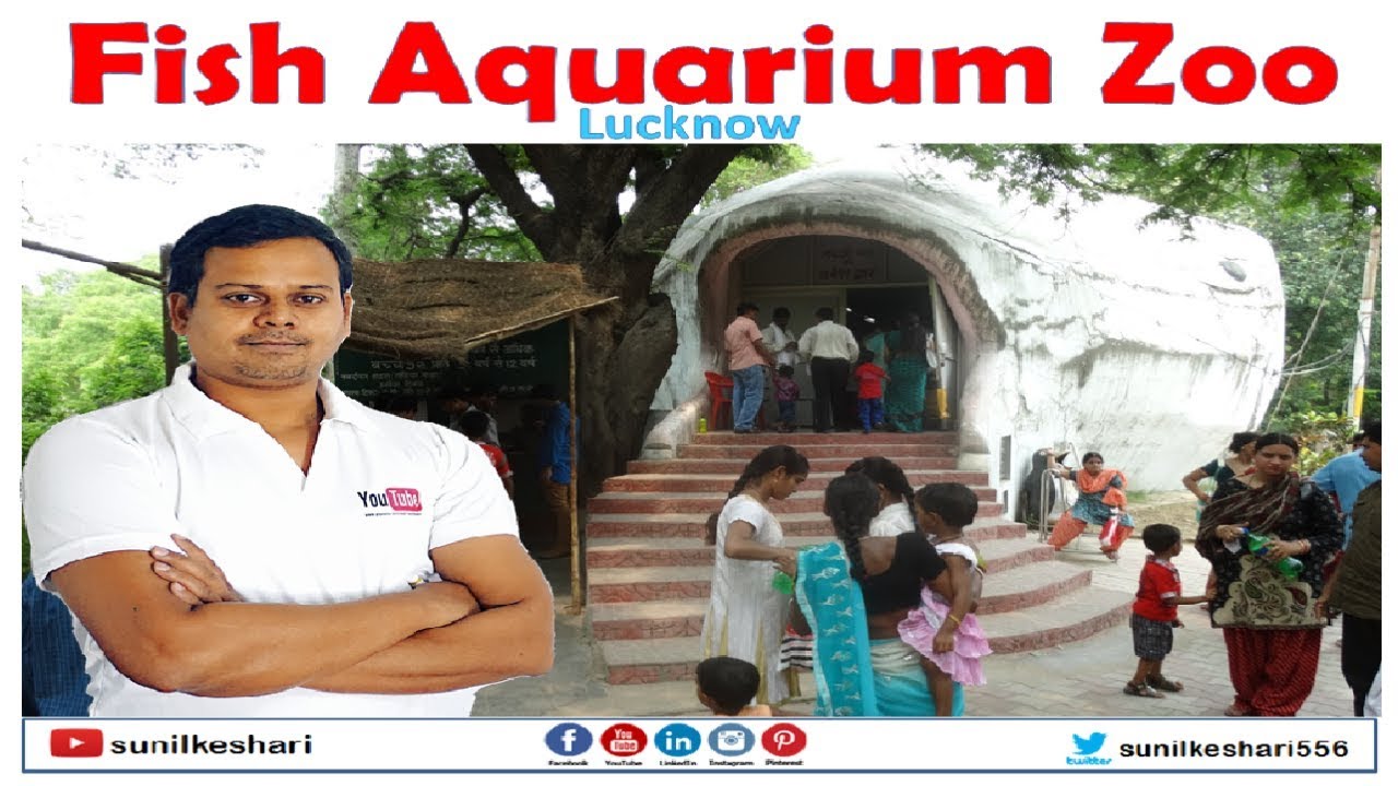 Fish Aquarium Zoo in Lucknow See the Most Interesting Fish in One